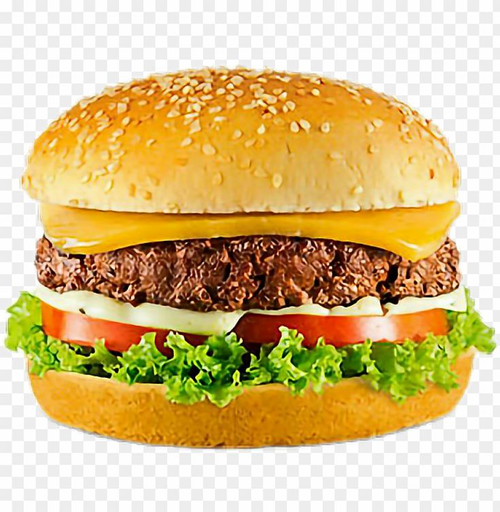 Cheese Burger